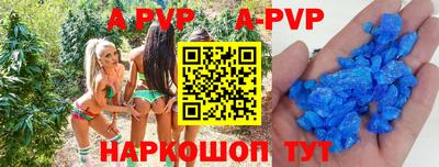 гашик Гатчина