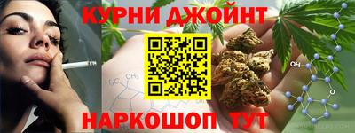 гашик Гатчина