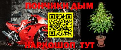 эйфоретик Гай