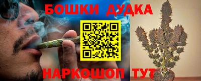 гашик Гатчина