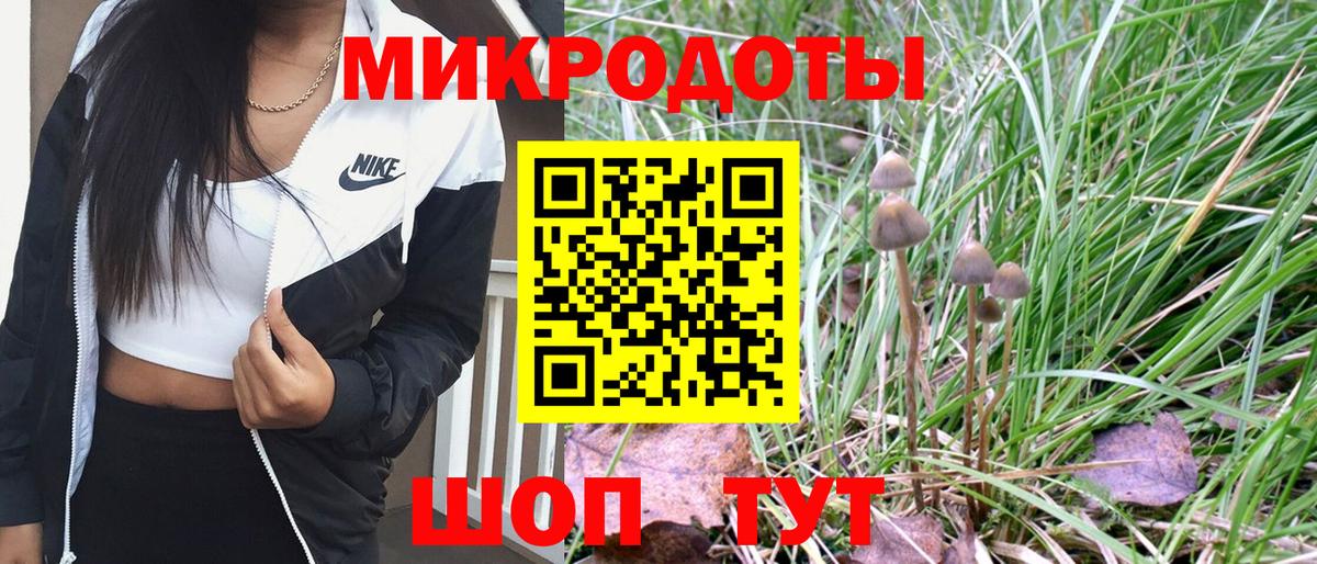 Галлюциногенные грибы MAGIC MUSHROOMS  Вход с VPN  Моздок 